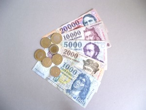 Gazdálkodás a pénzzel