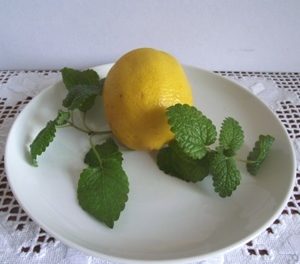 Influenza megelőzés