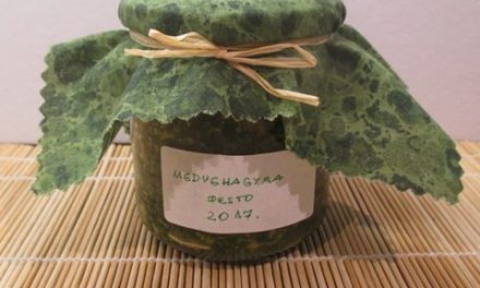 Medvehagyma pesto