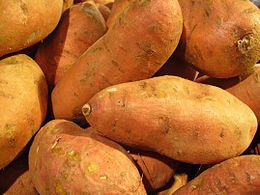 Édesburgonya -wikipedia
