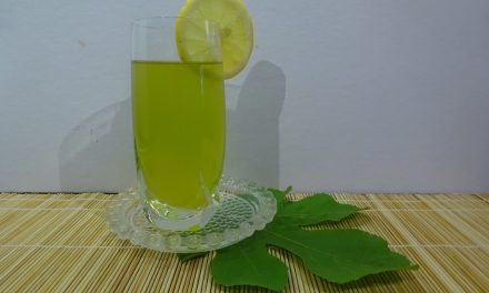 Fügefalevél szörp