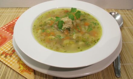 Zöldségleves húsgombóccal